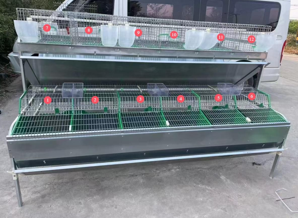 Professional Metal Rabbit Hutch, Designed for intensive rabbit farming