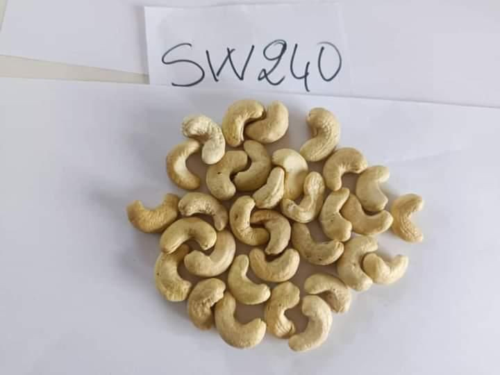 Cashew kernel W320 W240 W218 LWP