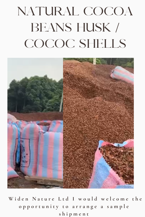 Cocoa Bean Husk  Cocoa Bean shell