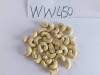 Cashew kernel W320 W240 W218 LWP