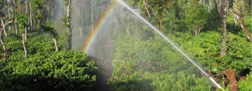 water-saving irrigation equipment